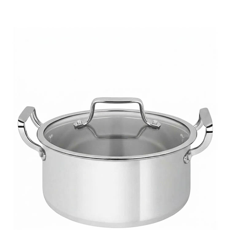 Zinel Stainless Steel Triply Casserole with Glass Lid, 28cm - 10L