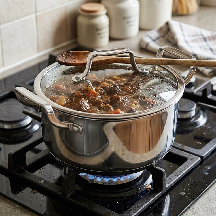 Zinel Stainless Steel Triply Casserole with Glass Lid, 20cm - 3L